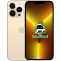 iPhone 13 Pro Reconditionné | 128/256/512 Go/1 To | Apple | 5G | Débloqué