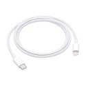 Câble Apple USB-C vers Lightning 1 m origine | AS Mobiles